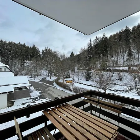 Ferienwohnungen Rothaarglück Schmallenberg Zimmer foto