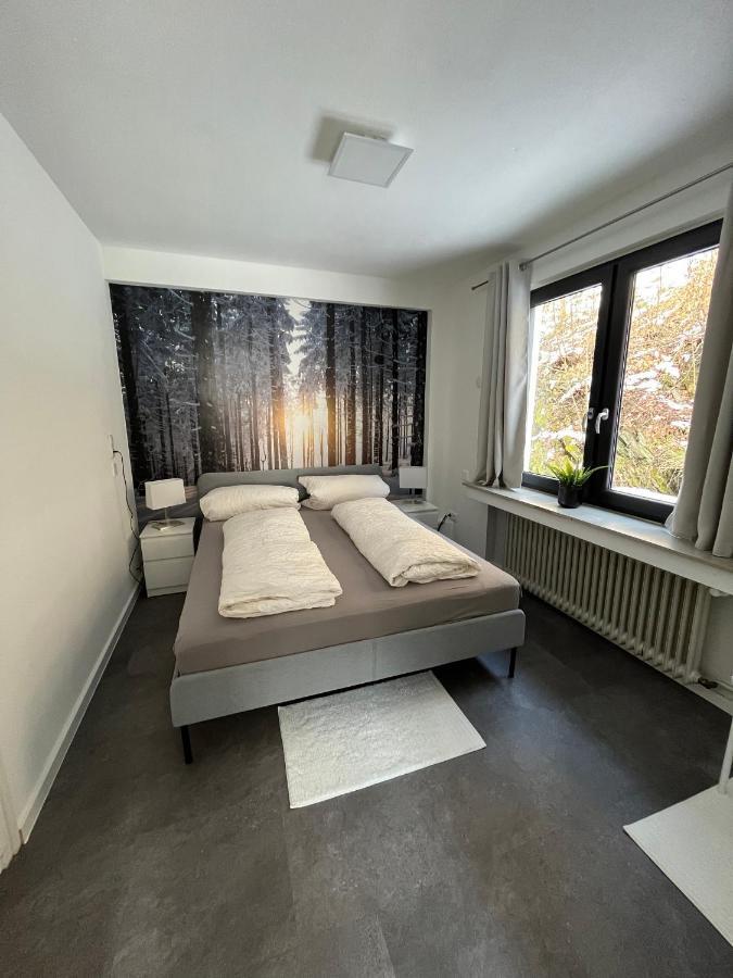 Apartment Rothaarglueck *
