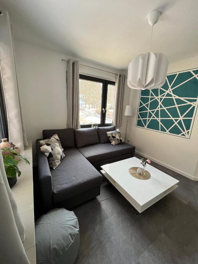 Apartment Rothaarglueck *